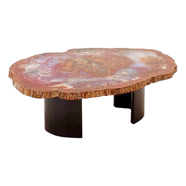 Red Arizona Petrified Wood Coffee Table For Sale