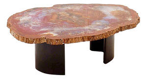 Red Arizona Petrified Wood Coffee Table