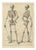 Anatomical Skeleton Study, 1745, Paper For Sale