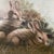 Mid 20th Century Vintage Cutrona Wildlife Canvas Painting of Bunnies Artist Signed Framed For Sale - Image 11 of 12