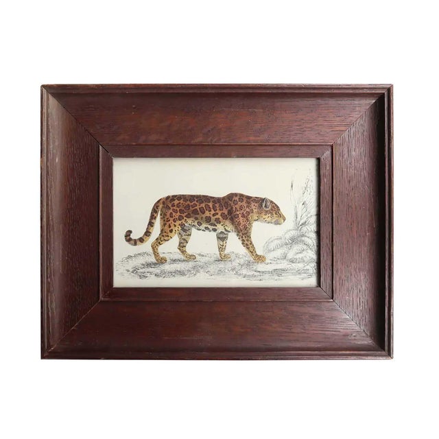 After Cpt. Brown, Jaguar, 1847, Lithograph, Framed For Sale - Image 4 of 4