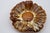 Dessert bowl marked Vallauris, South of France; in the colors brown and yellow; Very good condition considering its age....