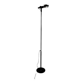 Sintesi Terra Floor Lamp by Ernesto Gismondi for Artemide, 1970s For Sale