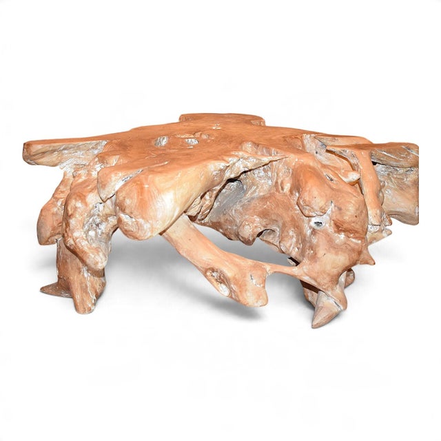 Rare teak root coffee table. Its highly original, unusual, and unique shape is unlike any other. Very stable, weighing...