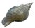 Vintage Large Brass Shell Planter/Objet For Sale - Image 9 of 12