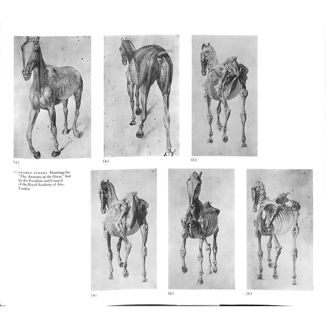 "Sport and the Horse" Book 1960 For Sale - Image 4 of 10