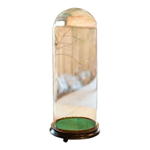 1880's Tall Antique Taxidermy Dome