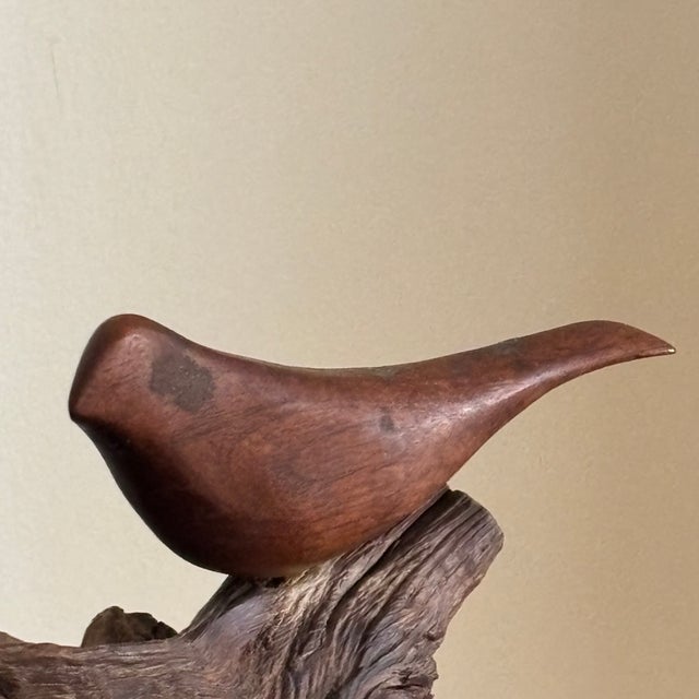 Mid-Century Modern Mid-20th Century Carved Bird on Driftwood, Ethel Yeagle (American 1909-2003) Attr. For Sale - Image 3 of 11