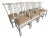 Set of 8 Hickory Chair Chippendale Dining Chairs From Mount Vernon Collection Custom Painted in Cream White For Sale