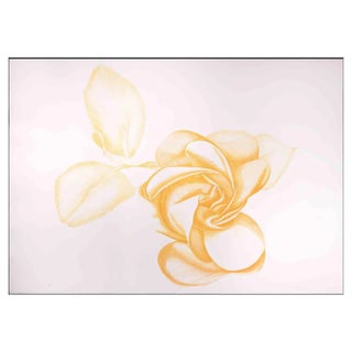 Giacomo Porzano, Yellow Rose, Etching, 1972 For Sale