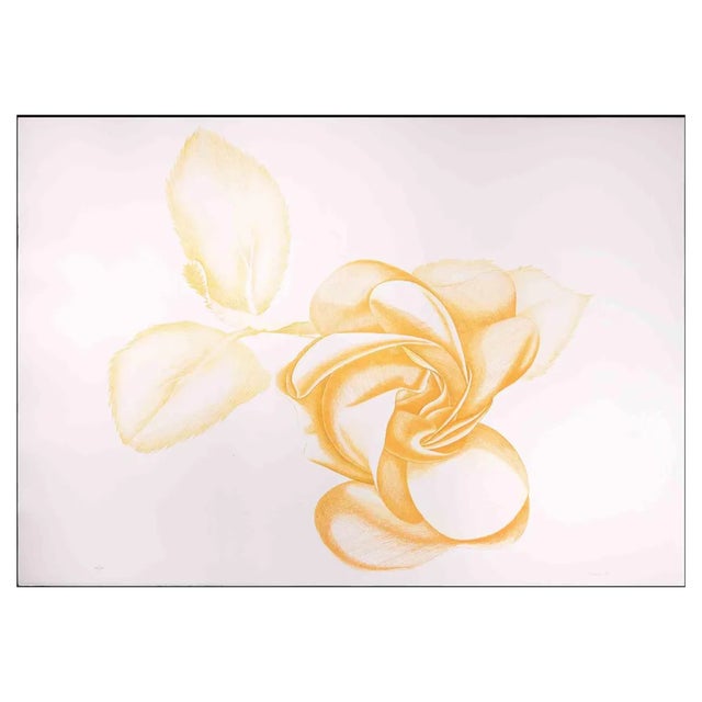 Giacomo Porzano, Yellow Rose, Etching, 1972 For Sale