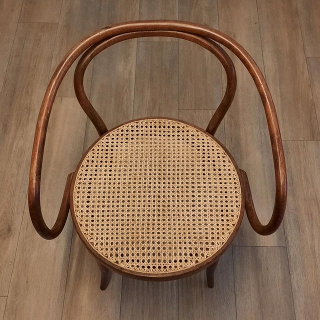 Brown No. 209 Armchairs in Bentwood and Rattan from Ligna, 1970s, Set of 4 For Sale - Image 8 of 13