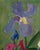 "Still Life With Flowers" Painting by Bryan Wilson 3 Ft. 1960 For Sale - Image 12 of 18