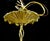 Mid 20th Century The Plaza Hotel Russian Crystal Dore Bronze Chandelier For Sale - Image 15 of 16