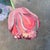 1940s Vintage Dutch Floral Still Life Oil Painting on Board For Sale - Image 5 of 11