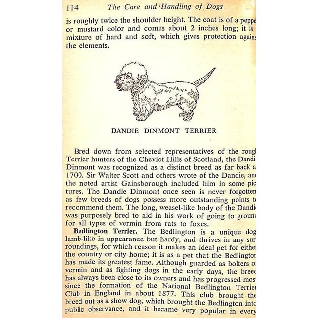 White "The Care and Handling of Dogs" 1950 Baird, Jack For Sale - Image 8 of 12