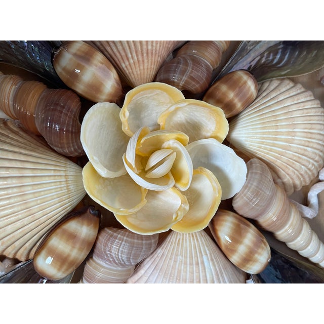 1970s Shell Art Wall Decor in Shadow Box For Sale - Image 4 of 4