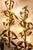 Traditional 1960s Vintage Italian Gold Gilded Corn Husk Large Wall Sconces - a Pair For Sale - Image 3 of 10