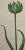 This is a hand-colored copperplate engraving entitled "Tulipa viridiscoloris, Fritillaria iuncifolns, Allium Vrsinum"...