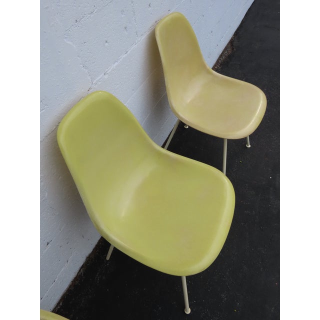1960s Herman Miller Eames Set of 3 Fiberglass Shell Chairs 1960s Light Yellow 6640 For Sale - Image 5 of 18
