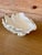 Vintage Wedgwood Bone China Scalloped Seashell Dish For Sale In Naples, FL - Image 6 of 9