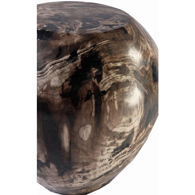 2010s Organic Modern Petrified Wood Stool Accent Table For Sale - Image 5 of 7
