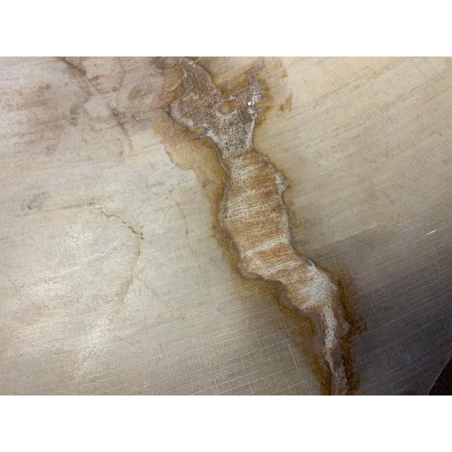Brown 20th Century Petrified Wood Slab Table For Sale - Image 8 of 10