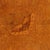 Brown Vintage Sideboard in Walnut, 1950s For Sale - Image 8 of 13