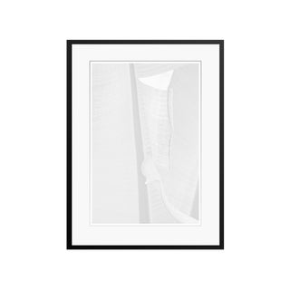 Stuart Möller, White Leaf, 2020, Black and White Photograph For Sale