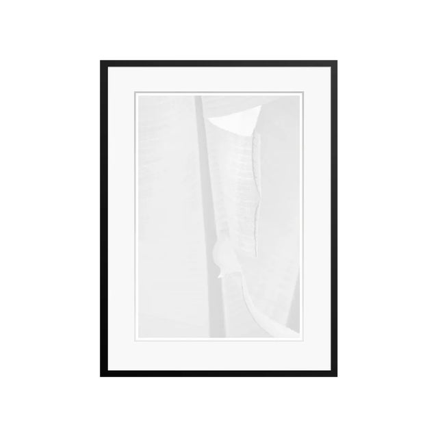 Stuart Möller, White Leaf, 2020, Black and White Photograph For Sale