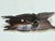 Brown Vintage Hand-Carved Maya Maize God Hardwood Wall Mask For Sale - Image 8 of 12