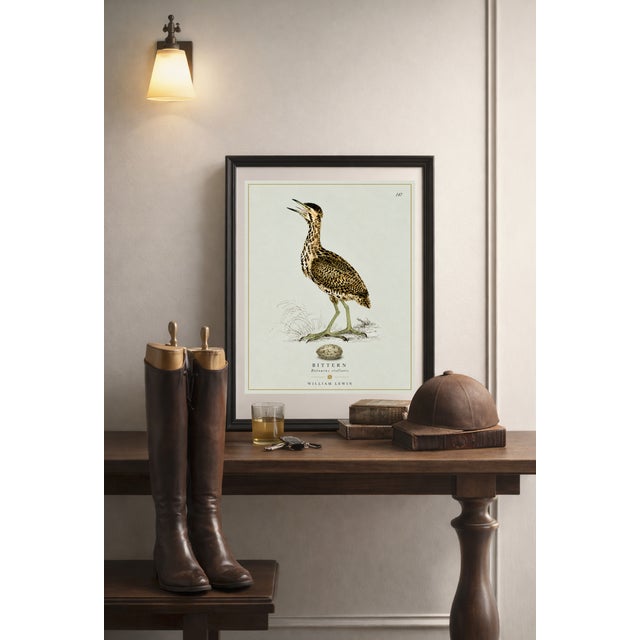 William Lewin 1789 Waterbirds Fine Art Gallery Board Print - The Bittern For Sale - Image 4 of 9