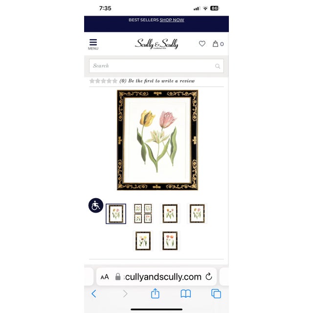 Scully & Scully Tulip Mania #991 Lithograph For Sale - Image 11 of 11