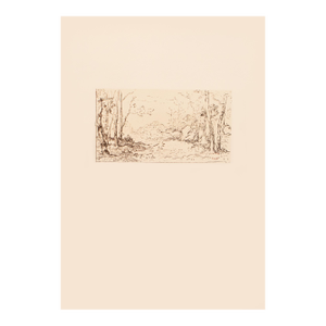 1959 After Narcisse-Vergile Diaz De La Pena "Forest", Monochrome Hungarian Print