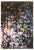 Stephen Andrews , a Small Part of Something Great 3, 2010, lithograph For Sale