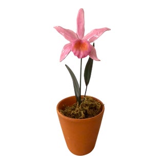 French Porcelain Potted Orchid in Terracotta Pot For Sale