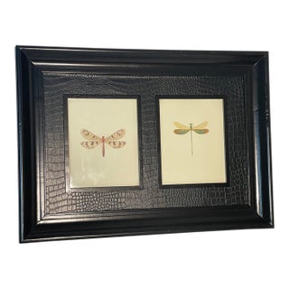 Dragonfly Chromolithograph in Leather Embossed Frame For Sale