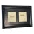 Dragonfly Chromolithograph in Leather Embossed Frame For Sale