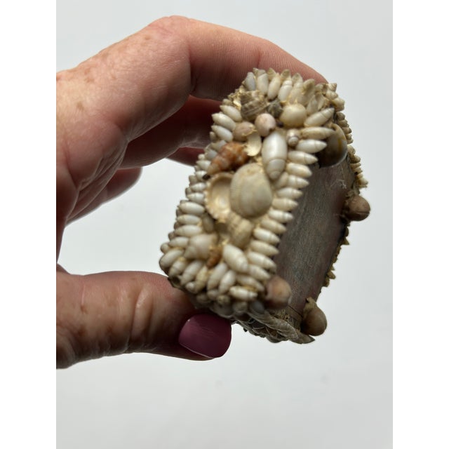 Shell Small Vintage Shell Art For Sale - Image 7 of 7