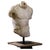 Unknown, Hellenistic Sculpture of a Male Torso, Plaster and Resin For Sale - Image 6 of 6
