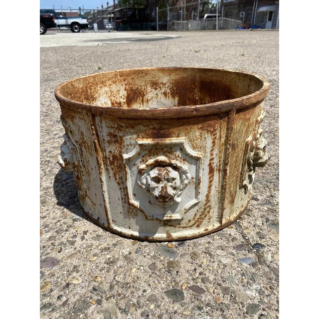 White Late 20th Century English Regency Cast Lion Heads White Garden Planter For Sale - Image 8 of 9