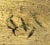 19th Century Soldiers in a Winter Scene, Signed Oil on Wood, For Sale - Image 6 of 8