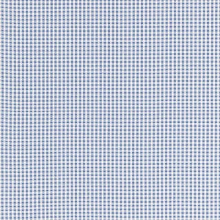 Schumacher Aruba Check Fabric in Cornflower For Sale