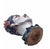 Handcrafted Ceramic Planters in the shape of Heads, Italy, 1950s, Set of 2 For Sale - Image 13 of 15