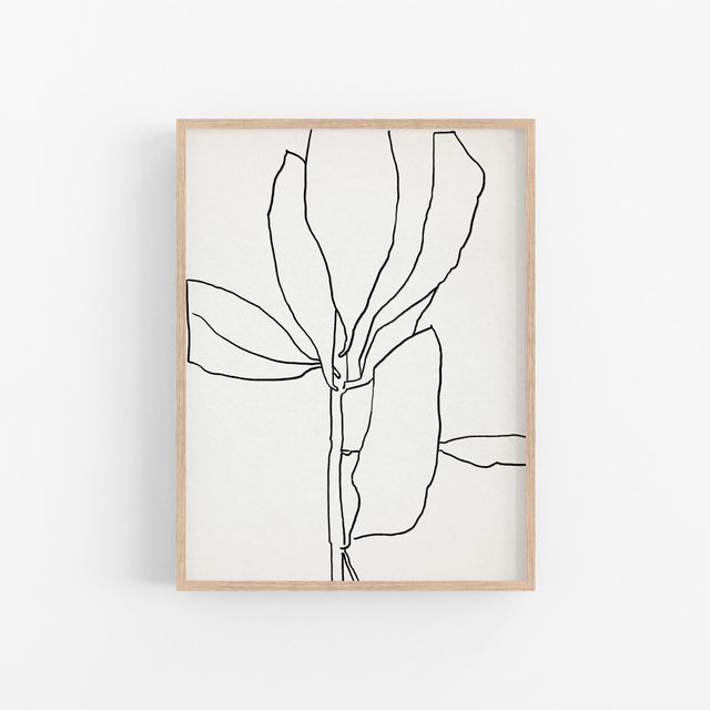 Open edition giclee print. 20"x28" Elegant botanical illustration drawing. Black line tree leaves on white textured...