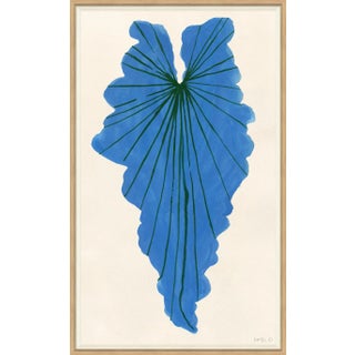 Blue Palm Framed Art Print by Susan Hable For Sale