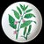 Ceramic Vintage Horchow Collection Botanical Salad/Dessert Plates, Set of 4 For Sale - Image 7 of 12