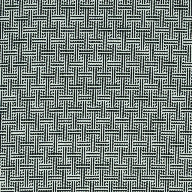 Schumacher Brickell Indoor & Outdoor Fabric in Black For Sale