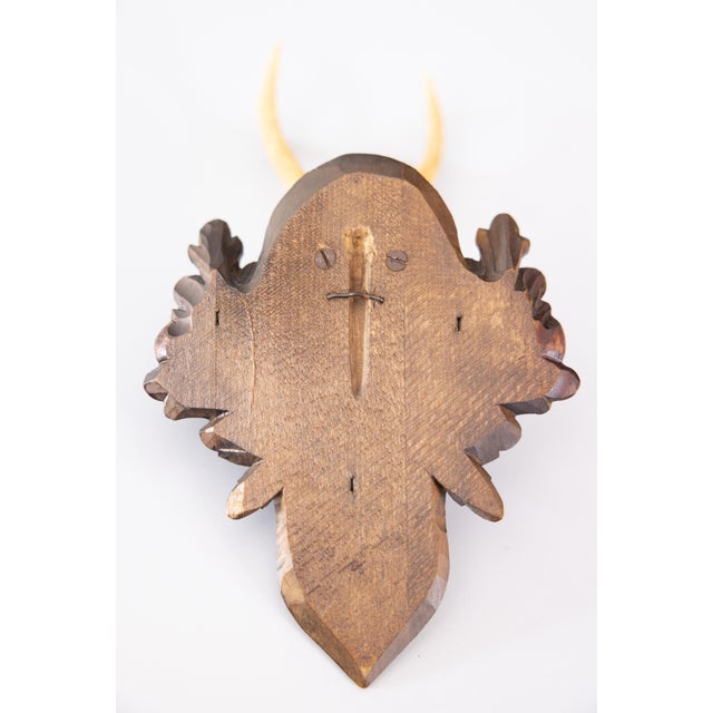 Black Forest Roe Deer Antlers Hunting Trophy 1928 Mount For Sale In Houston - Image 6 of 7