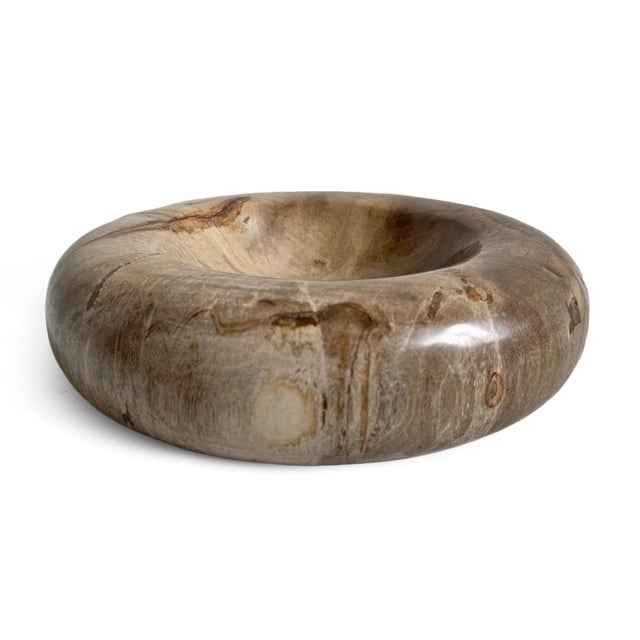 Contemporary Petrified Wood Organic Modern Vintage Decorative Bowl For Sale - Image 3 of 6